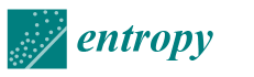 entropy-logo