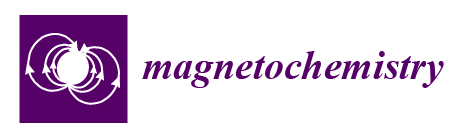magnetochemistry-logo