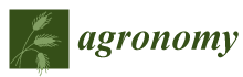 Agronomy_web